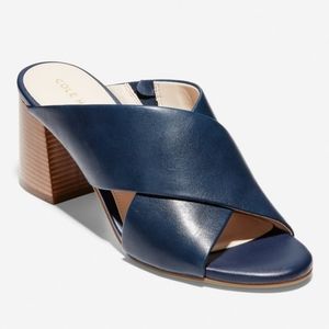 NEW Cole Haan Dakota Blue Leather Sandals